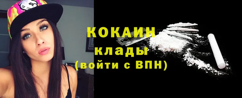 Cocaine Fish Scale  где можно купить наркотик  Козловка 